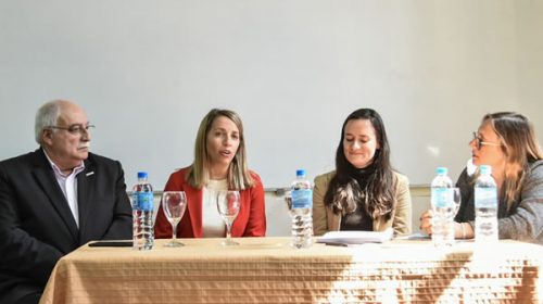 La provincia y UNICEF presentaron avances en la investigación sobre políticas de niñez y primera infancia