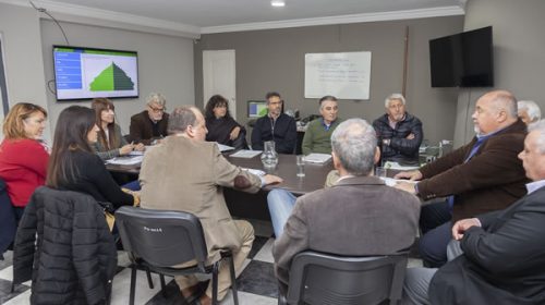 El Comité de Crisis del Ministerio de Salud se reunió con autoridades de Femer