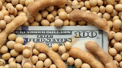 El dólar soja ya rindió 3000 millones de dólares