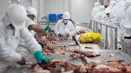 Frigorífico incorporará 40 empleados en Entre Ríos para producir hamburguesas