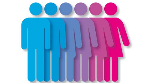 El Censo 2020 incluirá por primera vez la identidad de género