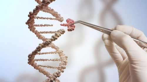 Crean un registro mundial para investigaciones sobre edición de genoma humano