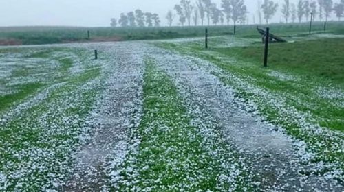 Fuerte granizada con lluvias y viento castigó a una zona de Entre Ríos