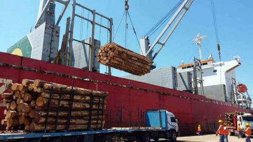 Las exportaciones entrerrianas crecieron en el primer trimestre del año