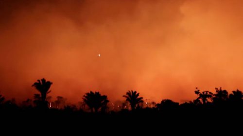 El mayor humedal del planeta en riesgo: el Pantanal también arde en Brasil