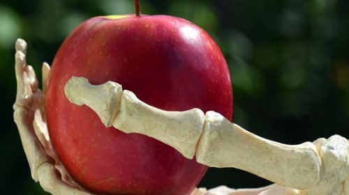 París y otras cuatro ciudades prohibieron para siempre los pesticidas