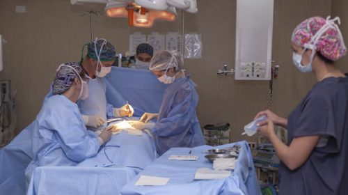 Una nueva donación en Paraná posibilita seis trasplantes