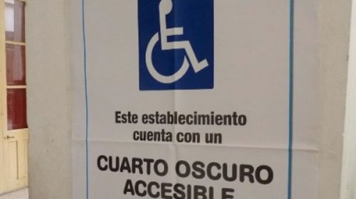 El Iprodi brindó recomendaciones sobre accesibilidad electoral