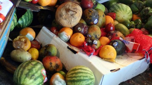 FAO: Un 14% de los alimentos se pierden desde su cosecha hasta su distribución