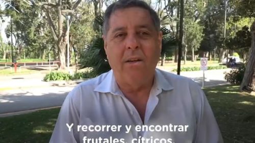 Polémica por un mensaje de campaña de De Ángeli