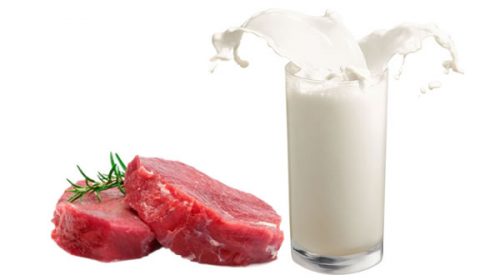 En 2019 los argentinos consumieron menos carne vacuna y leche