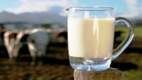 La leche aumentó un 10%