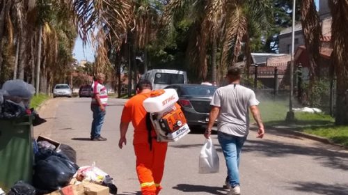 Bloqueo sanitario en Paraná por la presencia de un caso de dengue importado