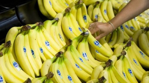 ¿Por qué las bananas aumentaron un 100% en los últimos días?