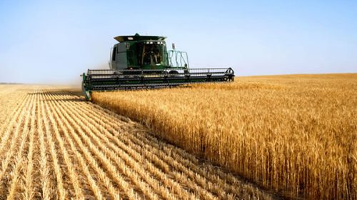 Cada vez hay menos productores agropecuarios en Argentina