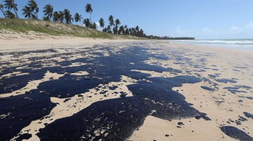 Brasil: la mancha de petróleo llega a un enclave único en el continente