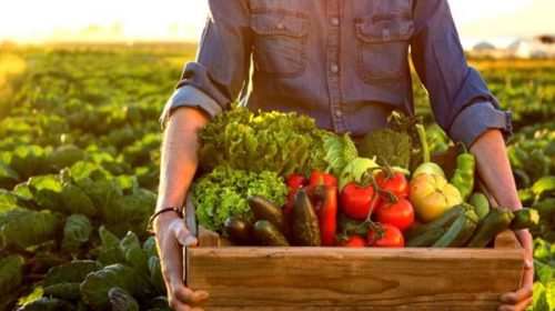 Debatirán un proyecto para fomentar la producción y consumo de productos orgánicos