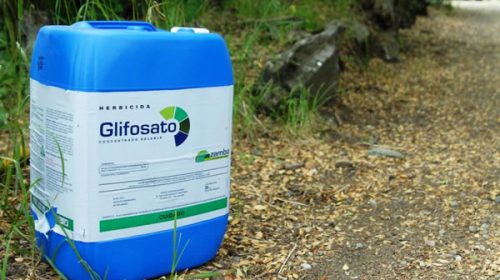 Glifosato: una investigación argentina confirma su peligro