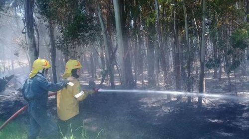 Prohíben realizar quemas en todo el territorio entrerriano