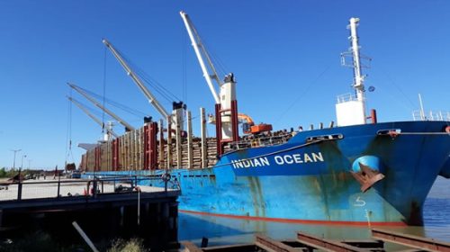 En el puerto de Ibicuy se cargan 34.000 toneladas de madera de pino para exportar a China