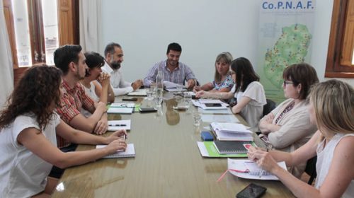 El Registro Único Nominal de Niñez de Entre Ríos conforma su agenda para el 2020