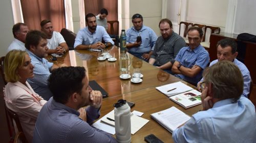 El sector forestal traza líneas de trabajo en conjunto con Producción