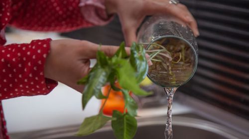 Salud sostiene un protocolo de actuación por dengue aunque sólo se confirmaron casos importados