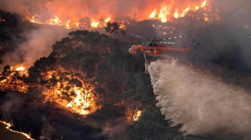 Australia extiende el “estado de desastre” por los feroces incendios