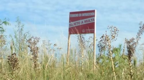 Aplican fuertes multas a propietarios de terrenos baldíos