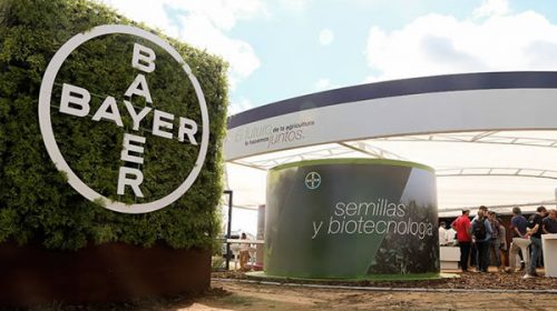 Glifosato: Bayer pagará una indemnización millonaria