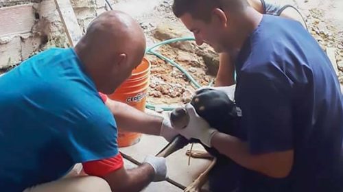 Salud realiza acciones en terreno ante un caso de leishmaniasis visceral en Concordia
