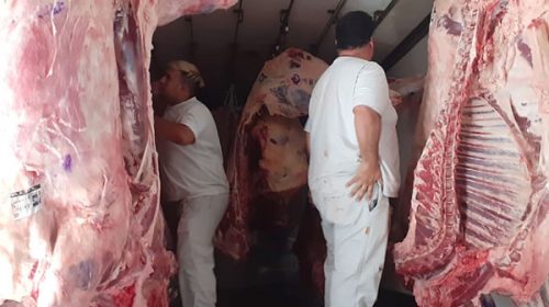 Decomisaron carne vacuna en operativos de fiscalización Decomisaron carne vacuna en operativos de fiscalización