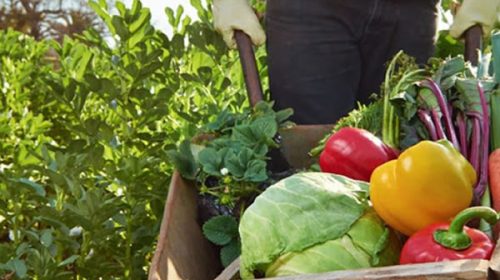 Los precios de los agroalimentos aumentaron 3,3 veces del campo a la góndola en junio