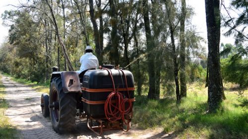 Son 467 los productores citrícolas que recibieron el cebo que controla la propagación de la Mosca de los Frutos