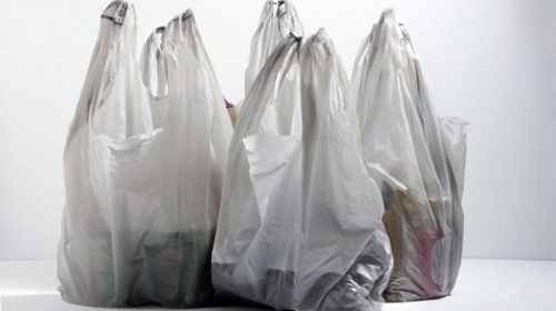 Nueva York le dijo basta a las bolsas de plástico