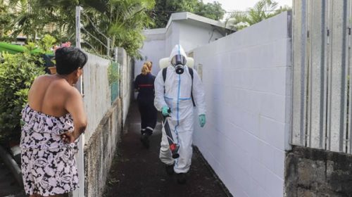 Hay dengue en catorce provincias