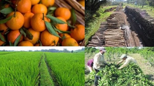 Marcha atrás: el Gobierno no subirá retenciones a 18 complejos productivos de las economías regionales