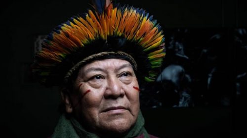 Denuncia urgente a la depredación de  Amazonia