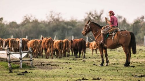 Plan de pagos para deudas de la seguridad social de empleadores rurales