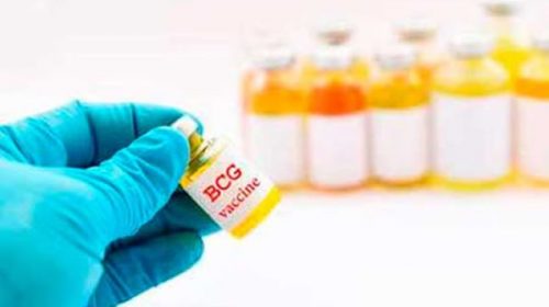 La BCG podría develar el misterio de Italia y Estados Unidos La BCG podría develar el misterio de Italia y Estados Unidos