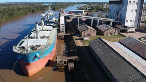 Zarpó de Concepción del Uruguay un buque con 16.000 toneladas de madera Zarpó de Concepción del Uruguay un buque con 16.000 toneladas de madera
