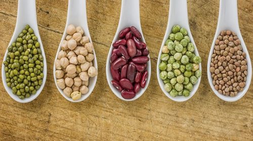 China abrió su mercado a las legumbres argentinas