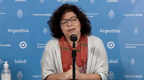 Vizzotti: “Estamos planeando una salida del aislamiento gradual, organizada y realista” Vizzotti: “Estamos planeando una salida del aislamiento gradual, organizada y realista”