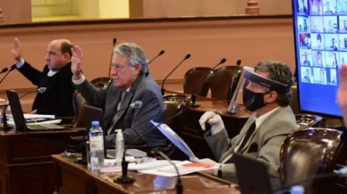 Diputados aprobó la licencia de conducir digital