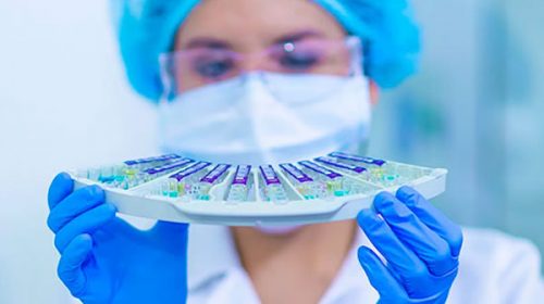 El Gobierno financiará con Bunge y Born investigaciones sobre coronavirus