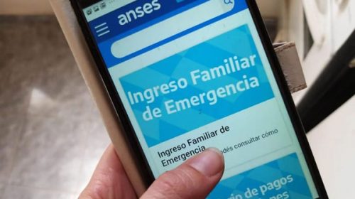 Casi el 20% de la población cobró el IFE