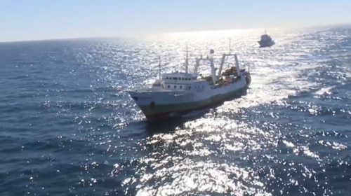 Argentina logró detener a un buque pesquero Chino que se había fugado