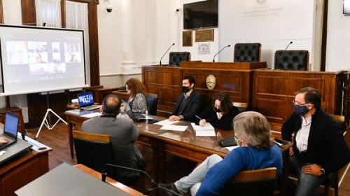 El Senado dio despacho al proyecto de un régimen tarifario especial para personas electrodependientes