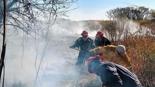 Bordet realizará una denuncia penal por los incendios del Delta
