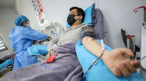 Ya hay 8 provincias que trabajan con plasma de pacientes recuperados de coronavirus